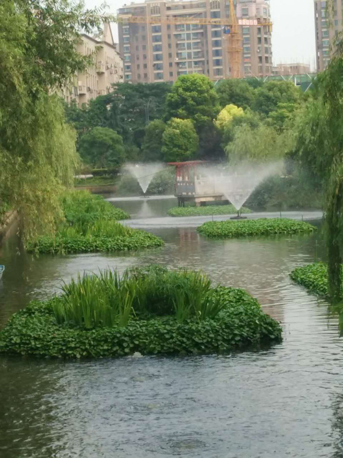 沉水式鼓樱桃视频污污污-河道治理