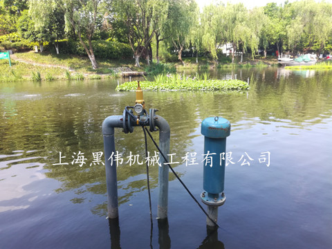 河道治理沉水式鼓樱桃视频污污污 河道治理沉水式鼓樱桃视频污污污