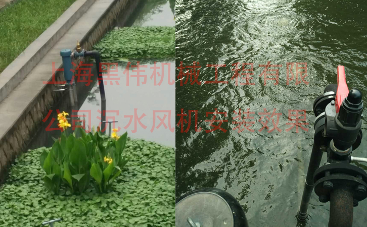 沉水樱桃视频污污污在施工现场如何安装？