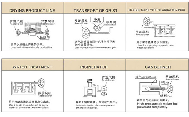 罗茨鼓樱桃视频污污污在中央供料系统中重要吗? 罗茨鼓樱桃视频污污污在中央供料系统中重要吗?