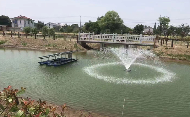 沉水式罗茨樱桃视频污污污：助力提升河湖水质的新利器